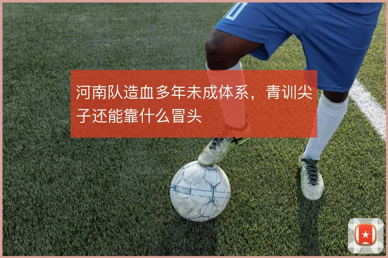 河南队造血多年未成体系，青训尖子还能靠什么冒头